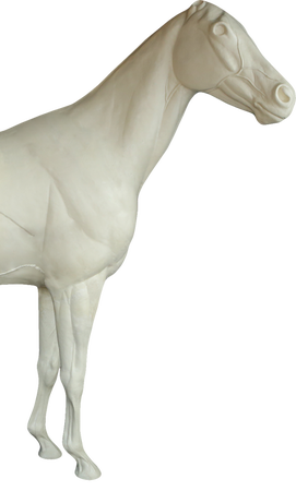 Лошадь ЛОШМ-1 1/2 АМ (А=40 В=61 С=82 )