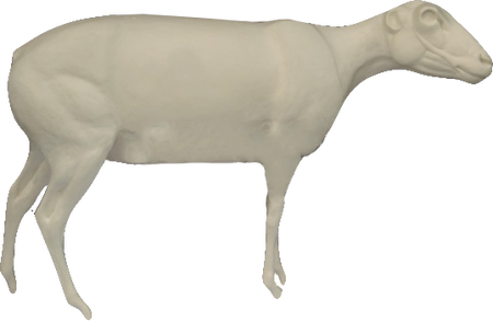 Овца домашняя ОВДМ-1П (А=16,8 В=27,5 С=37 D=122 Е=96)