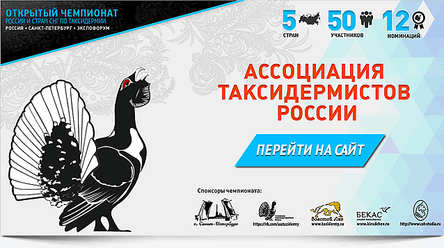 Ассоциация таксидермистов России, перейти на сайт