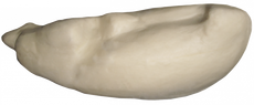 Тушка гаги гребенушки ГГРМ-1 АМ
