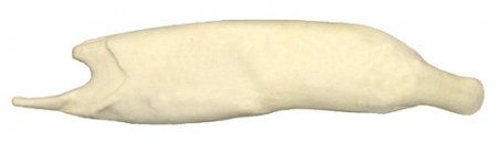 Щука манекен ЩУКМ-5 АМ (на 1,6 кг живого веса)