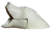 Медведь БМКГ-107  (А=15см, В=36см, D=190см)