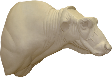 Капский буйвол БФЛТ-5 АМ  (А=30,8 В=58 С=104)