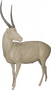 Водяной козел ВДКМ-1Л АМ  (А=29 В=44,5 С=66 D=206 E=150)